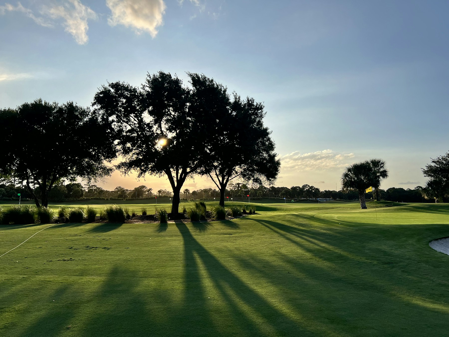 Florida golf course glowing in the soft morning light